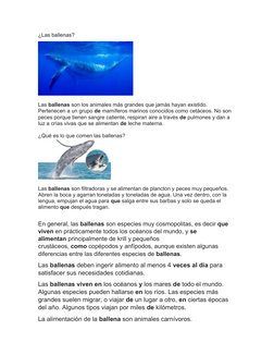 (https://www.google.com/search?q=%C2%BFQu%C3%A9+es+la+ballena+explicacion+para+ni%C3%B1os?&rlz=1C1CHBD_esMX873MX873&sxsrf=AO