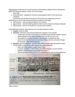 Cell Junctions: structures due to direct physical contact between adjacent cells in animals and 
plants that frequently adh