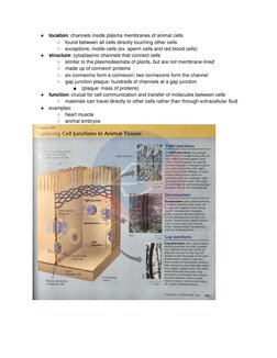 ● location: channels inside plasma membranes of animal cells 
○ found between all cells directly touching other cells 
○ ex