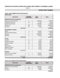 Detalle de la Invesiones Iniciales de los Activos fijos Tangibles e intangibles y capital de trabajo
"PLAMEZ"
Activos Fijos T