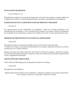 EVALUACION DE RIESGOS 
 
Ley N° 29783, art. 57 
 
El empleador actualiza la evaluación de riesgos una vez el año como m