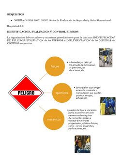 REQUISITOS 
 
 NORMA OHSAS 18001:20007, Series de Evaluación de Seguridad y Salud Ocupacional 
 
Requisito4.3.1:  
 
IDE