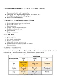 FACTORES QUE DETERMIANAN LA EVALUACION DE RIESGOS 
 
 
 Tamaño y ubicación de la Organización 
 Naturaleza de la orga