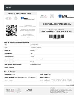 Página  [1] de [3] 
CEDULA DE IDENTIFICACION FISCAL 
LOFF920503PQ7
Registro Federal de Contribuyentes
FERNANDO LOPEZ FERMAN
N