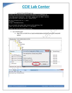 CCIE Enterprise Infrastructure Labs Guide | PDF | Command Line ...