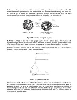 Cada grano de polen es una célula masculina fértil, generalmente redondeada de 2 a 250
micras de tamaño, protegido por dos me
