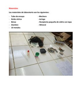 Materiales 
Los materiales de laboratorio son los siguientes: 
- Tubo de ensayo                              - Mechero 
- Áci