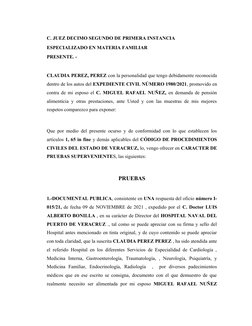 C. JUEZ DECIMO SEGUNDO DE PRIMERA INSTANCIA 
ESPECIALIZADO EN MATERIA FAMILIAR
PRESENTE. -
CLAUDIA PEREZ, PEREZ con la person
