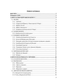 vi 
 
ÍNDICE GENERAL 
RESUMEN ...............................................................................................