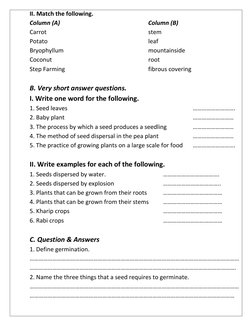 Class 5 Growing Plants Revision Worksheet | PDF | Seed | Germination