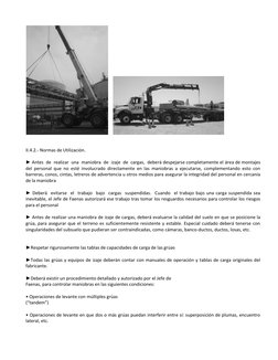 II.4.2.- Normas de Utilización. 
 
► Antes  de  realizar  una  maniobra  de  izaje  de  cargas,  deberá despejarse