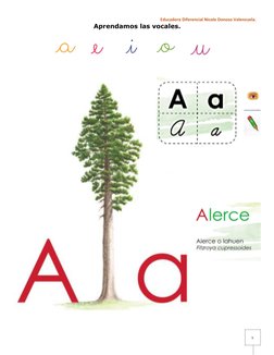 Educadora Diferencial Nicole Donoso Valenzuela.
Aprendamos las vocales.
5
