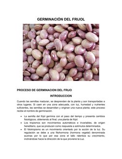 (http://www.google.com.mx/url?sa=i&rct=j&q=&esrc=s&frm=1&source=images&cd=&cad=rja&docid=-aIePqhAOV13gM&tbnid=2N6n9v-iUQrQgM