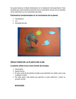 (http://www.google.com.mx/url?sa=i&rct=j&q=&esrc=s&frm=1&source=images&cd=&cad=rja&docid=0E7iAkibhs39GM&tbnid=c9rndz8506d5MM