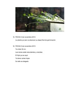 (http://www.google.com.mx/url?sa=i&rct=j&q=&esrc=s&frm=1&source=images&cd=&cad=rja&docid=_sQlzpJOPQN1RM&tbnid=FjO5UsPFVik7jM