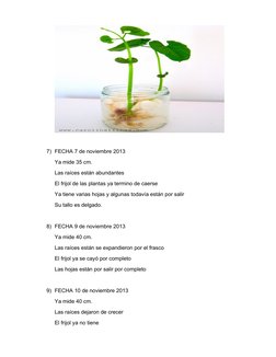 (http://www.google.com.mx/url?sa=i&rct=j&q=&esrc=s&frm=1&source=images&cd=&cad=rja&docid=bpBsplXQrEP6pM&tbnid=V88HSfidQ5DqiM