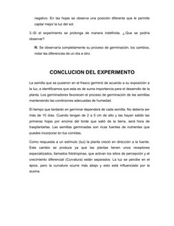 negativo. En las hojas se observa una posición diferente que le permite
captar mejor la luz del sol.
3.-Si  el  experimento