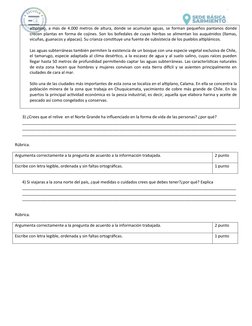 altiplano, a más de 4.000 metros de altura, donde se acumulan aguas, se forman pequeños pantanos donde
crecen plantas en form