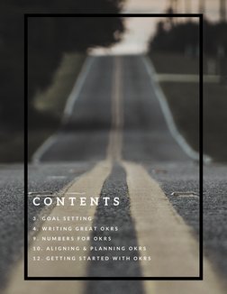 3 .  G O A L  S E T T I N G
4 .  W R I T I N G  G R E A T  O K R S
9 .  N U M B E R S  F O R  O K R S
1 0 .  A L I G N I N G