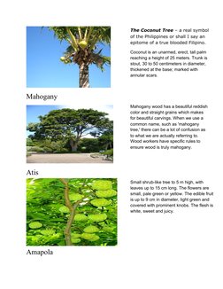 Common Trees for Philippine Landscapes | PDF | Trees | Plants