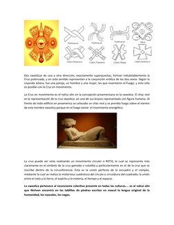 Dos swásticas de una y otra dirección, exactamente superpuestas, forman indubitablemente la
Cruz potenzada, y en este sen