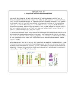 Foto tomada con d
CROMOSOMA XX -  XY
La cruz presente en nuestra información genetica
Los códigos de combinación del ADN, que