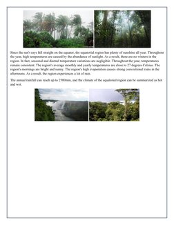 Since the sun's rays fall straight on the equator, the equatorial region has plenty of sunshine all year. Throughout
the ye