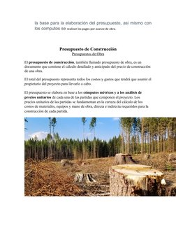 la base para la elaboración del presupuesto, asi mismo con
los computos se realizan los pagos por avance de obra.
Presupuesto