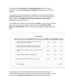 En un presupuesto las partidas se ordenan lógicamente según la secuencia 
constructiva de la obra y se agrupan en categorías