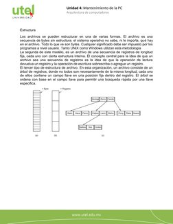 Unidad 4: Mantenimiento de la PC
Arquitectura de computadoras
6
Estructura
Los  archivos  se  pueden  estructurar  en  una  d