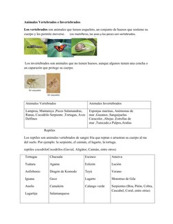 Animales Vertebrados e Invertebrados
Los vertebrados son animales que tienen esqueleto, un conjunto de huesos que sostiene su
