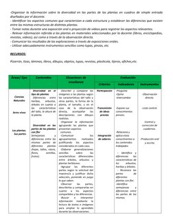Secuencia Didáctica: Las Plantas 1° Grado | PDF | Tallo de la planta | Hoja