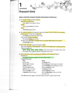 Advanced Language Practice Guide | PDF
