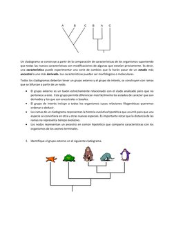 Un cladograma se construye a partir de la comparación de características de los organismos suponiendo 
que todas las nuevas