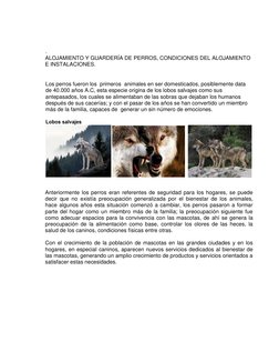 .   
ALOJAMIENTO Y GUARDERÍA DE PERROS, CONDICIONES DEL ALOJAMIENTO 
E INSTALACIONES. 
 
 
Los perros fueron lo
