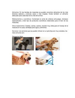 Alimentos: En las tiendas de mascotas se pueden encontrar alimentos de los más 
diversos sabores y texturas (seca