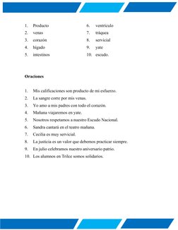 1.
Producto
6.
ventrículo
2.
venas
7.
tráquea
3.
corazón
8.
servicial
4.
hígado
9.
yate
5.
intestinos
10.
escudo.
Oraciones
1
