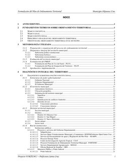 Formulación del Plan de Ordenamiento Territorial                                                         Municipio Okinawa Un
