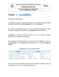INSTITUTO TECNOLÓGICO SUPERIOR DE LAS CHOAPAS 
MÓDULO 1.- 
ALGEBRA 
INGENIERÍA INDUSTRIAL 
 
MÓDULO DE DESARROLLO DE COMPET