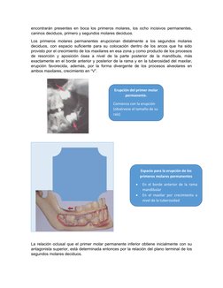 encontrarán presentes en boca los primeros molares, los ocho incisivos permanentes,
caninos deciduos, primero y segundos mola