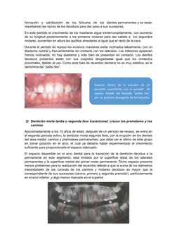 formación   y   calcificación   de   los   folículos   de   los   dientes permanentes y se están
resorbiendo las raíces de lo