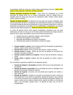 consumidores. Entre las razas que reúnen estas características tenemos:  angús, cebú,
grahma, Santa Gertrudis, Charolais, Her