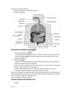 6 | P a g e  
-there are two types of digestion: 
(1) Physical digestion or mechanical digestion 
(2) Chemical digestion