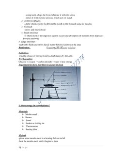 7 | P a g e  
-using teeth, chops the food, lubricate it with the saliva 
-mixes it with enzyme amylase which acts on starc