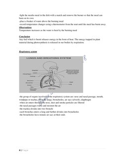 8 | P a g e  
-light the mealie-meal in the dish with a match and remove the burner so that the meal can 
burn on its own