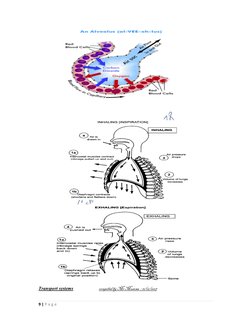 9 | P a g e  
                  
 
 
 
 
                       
 
             
 
Transport systems                      c
