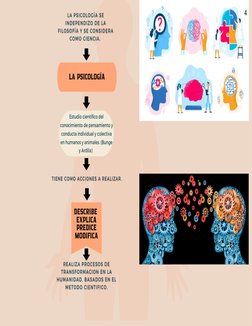 LA PSICOLOGÍA 
Estudio científico del
conocimiento de pensamiento y
conducta individual y colectiva
en humanos y animales. (