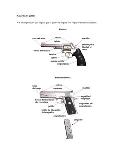 Guarda del gatillo 
Un anillo protector que impide que el gatillo se dispare o se toque de manera accidental. 
Pistolas