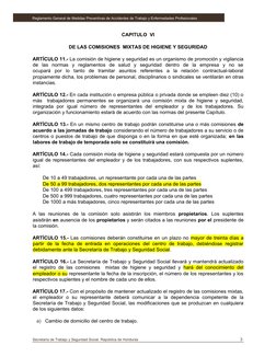 CAPITULO  VI 
 
DE LAS COMISIONES  MIXTAS DE HIGIENE Y SEGURIDAD 
 
ARTÍCULO 11.- La comisión de higiene y seguridad es un or