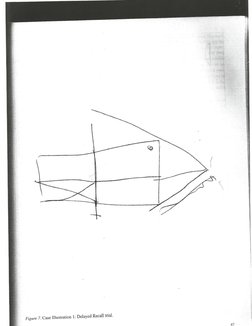 RCFT Interpretation | PDF